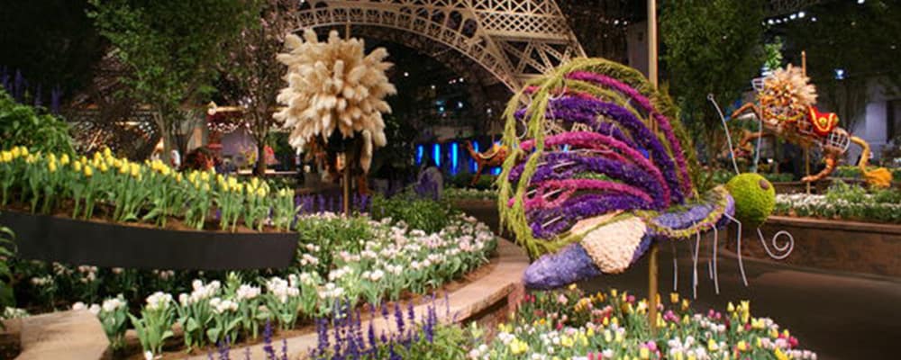 International Flower Festival